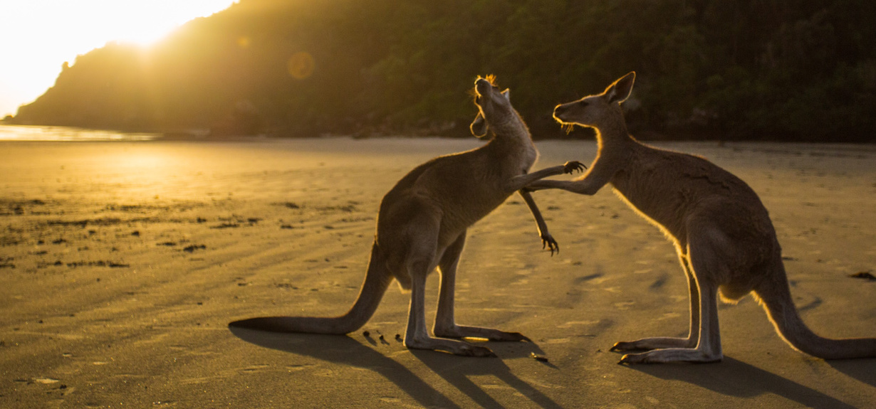 Seks w Australii: najdziwniejsze prawa i zwyczaje