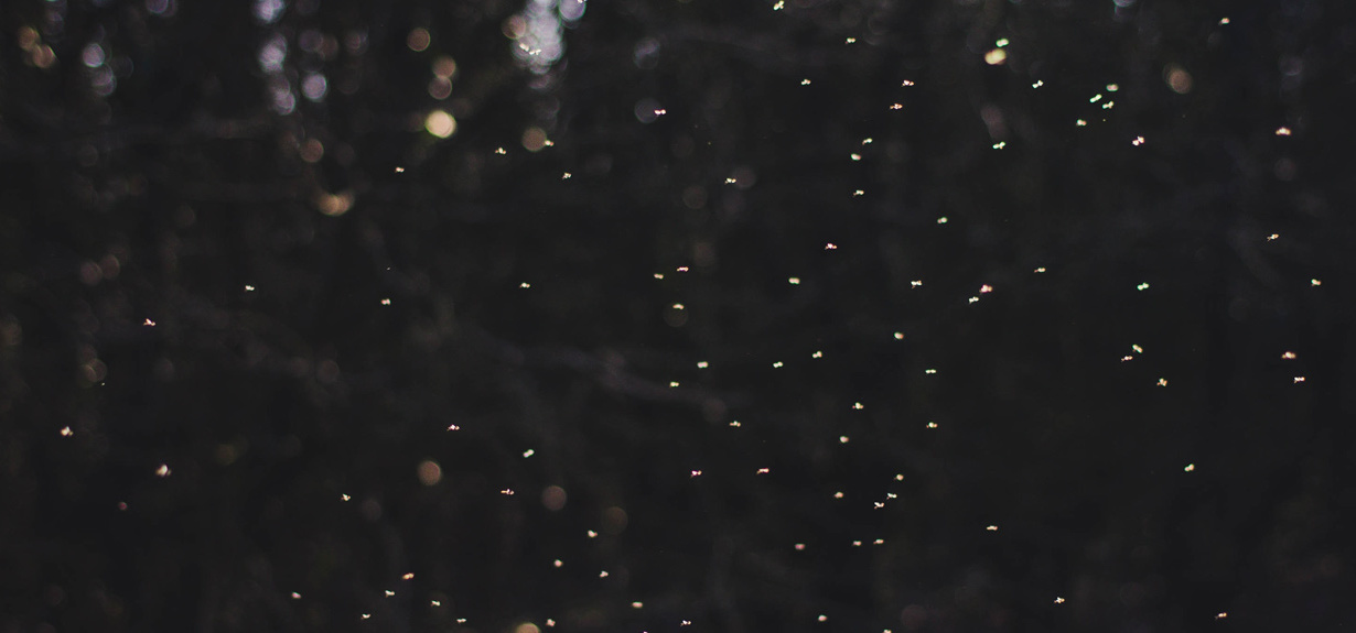 Noc Świętojańska, czyli... pogańskie walentynki?